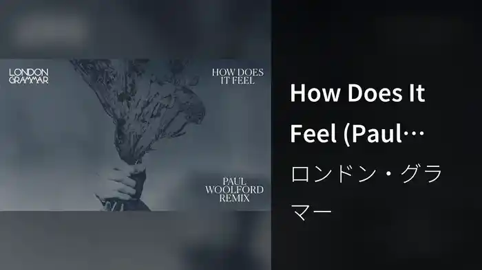 How Does It Feel (Paul Woolford Remix / Audio)