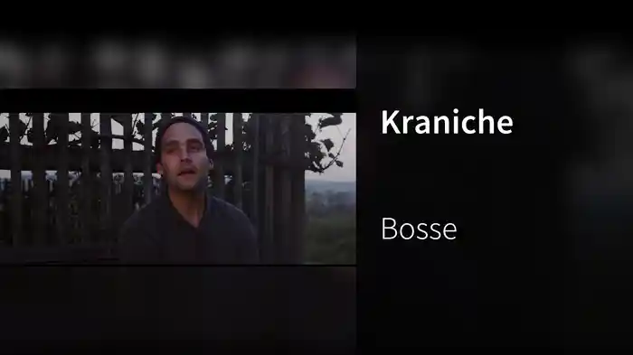 Kraniche