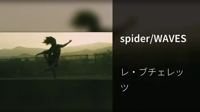 spider/WAVES