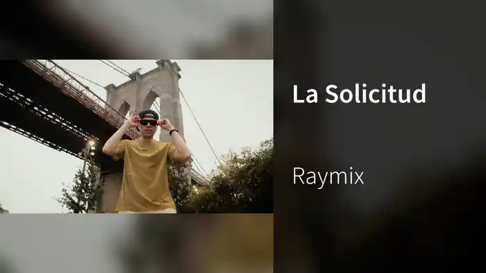 La Solicitud