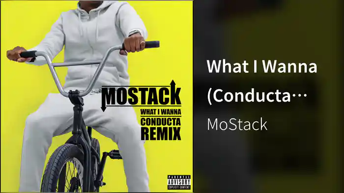 What I Wanna (Conducta Remix / Audio)