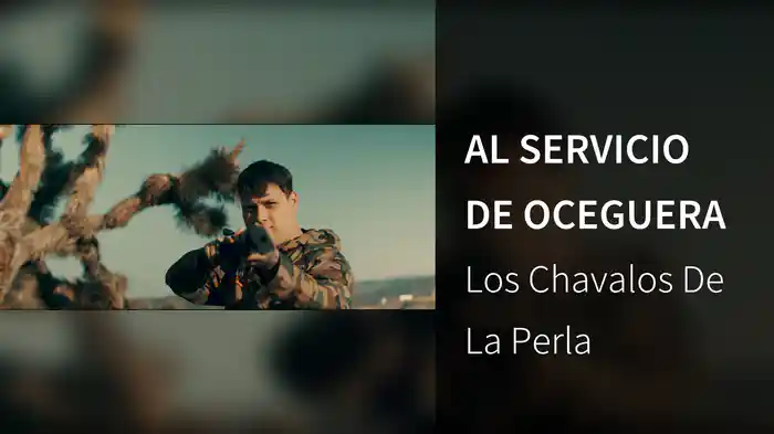 AL SERVICIO DE OCEGUERA