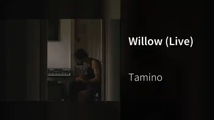 Willow (Live)