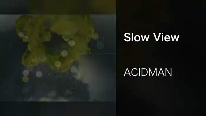 Slow View