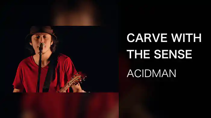 CARVE WITH THE SENSE