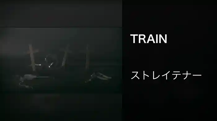 TRAIN