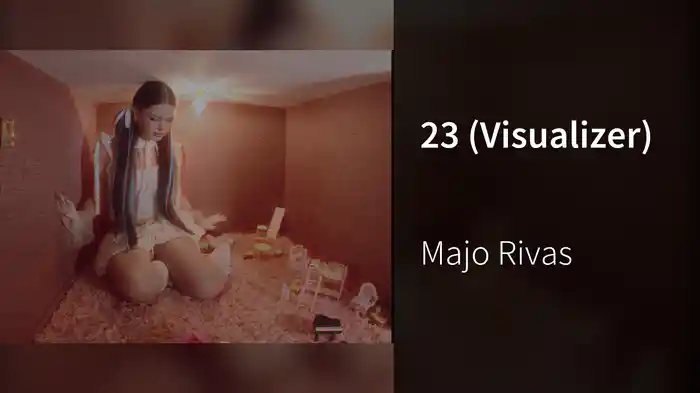 23 (Visualizer)