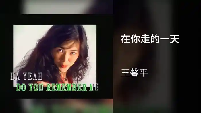 在你走的一天