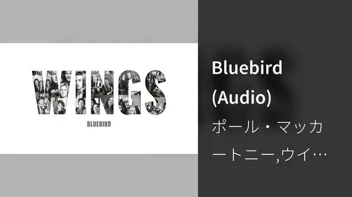 Bluebird (Audio)