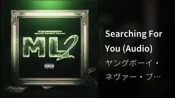 Searching For You (Audio)