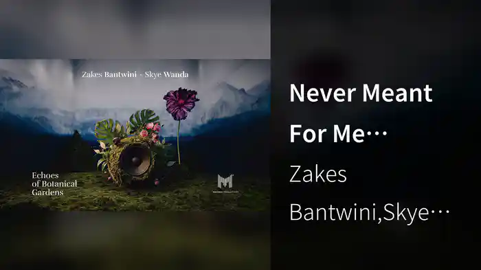 Never Meant For Me (Visualizer)