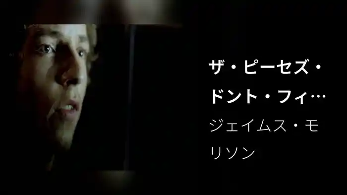 ザ・ピーセズ・ドント・フィット・エニィモア