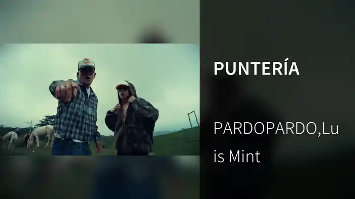 PUNTERÍA