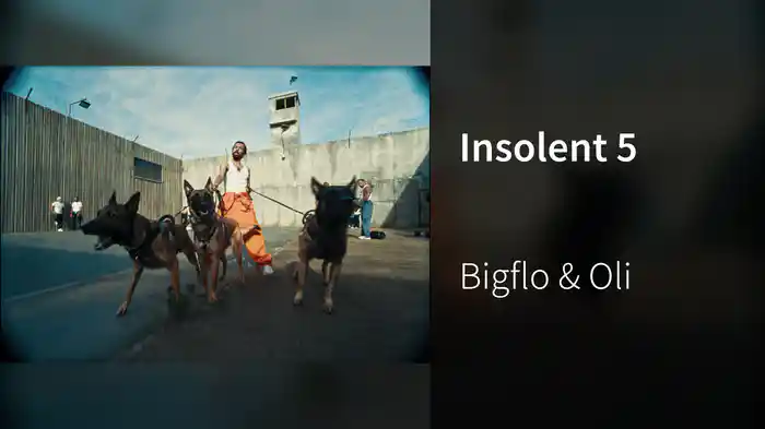 Insolent 5