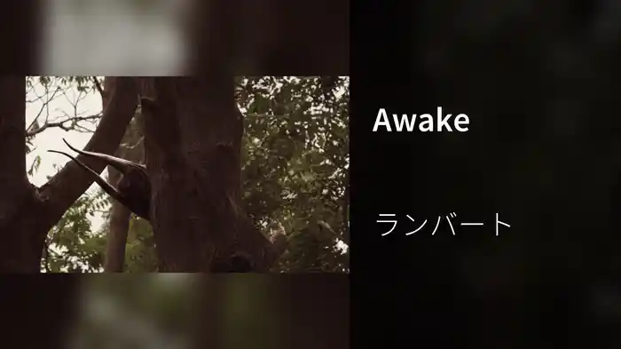 Awake