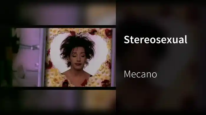 Stereosexual