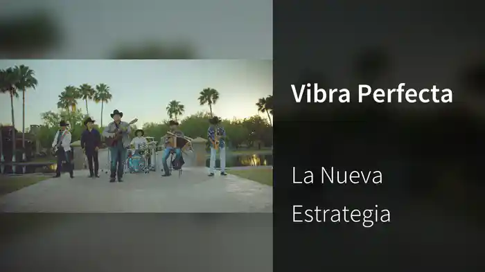 Vibra Perfecta
