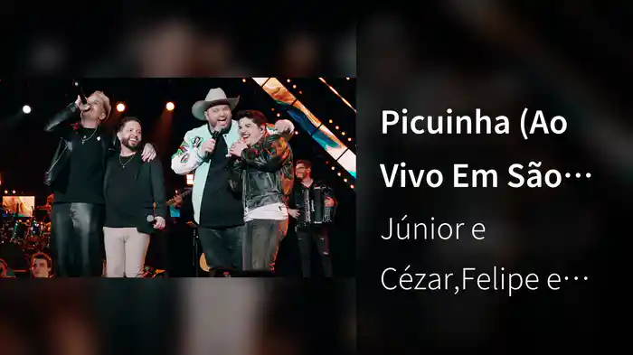 Picuinha (Ao Vivo Em São Paulo / 2024)