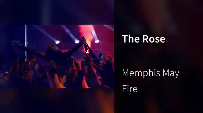 The Rose