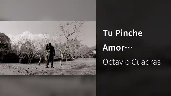 Tu Pinche Amor (Visualizer)