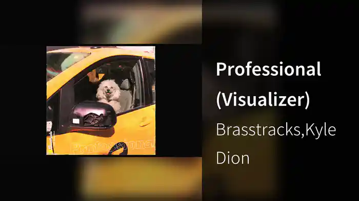 Professional (Visualizer)