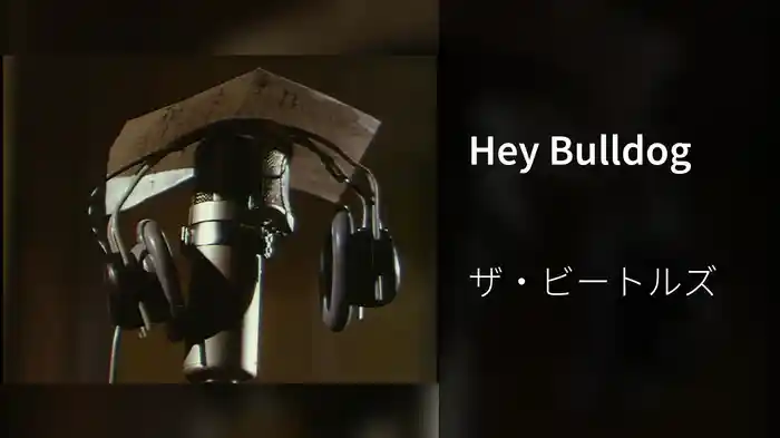 Hey Bulldog