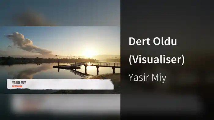 Dert Oldu (Visualiser)