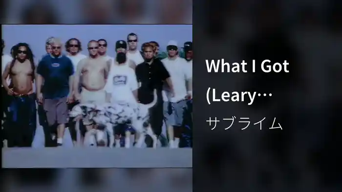 What I Got (Leary Version)