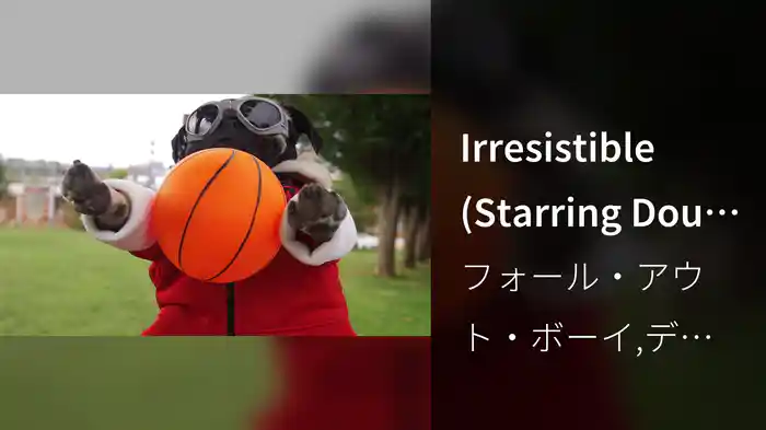 Irresistible (Starring Doug The Pug)