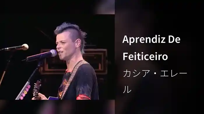 Aprendiz De Feiticeiro