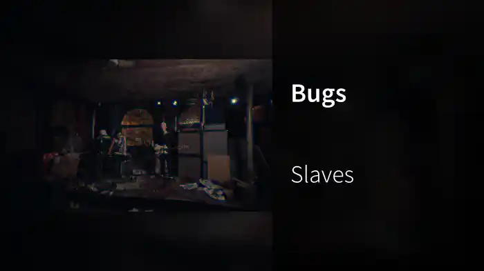Bugs