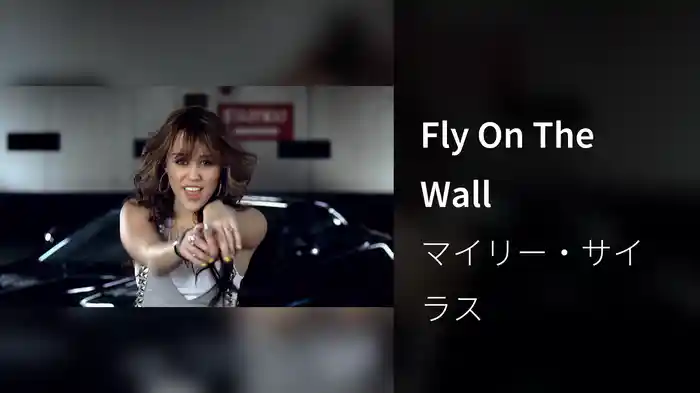 Fly On The Wall