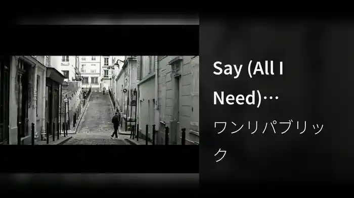 Say (All I Need) (International Version)