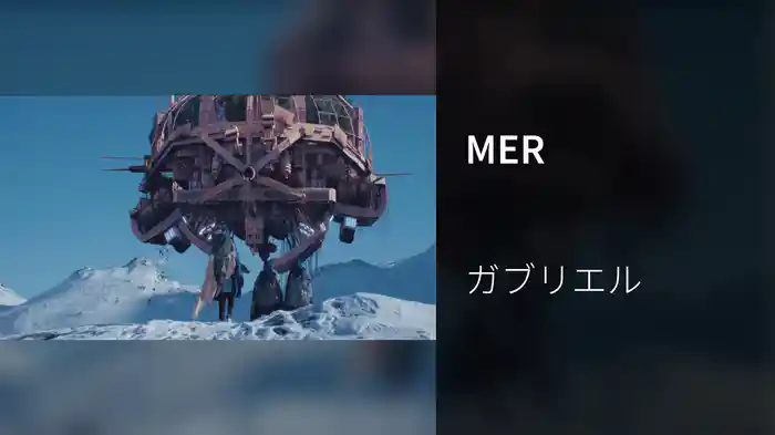 MER