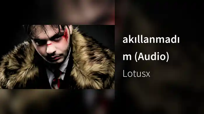 akıllanmadım (Audio)