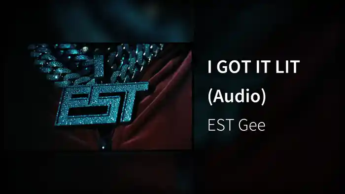I GOT IT LIT (Audio)