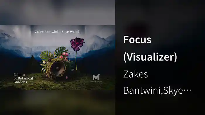 Focus (Visualizer)