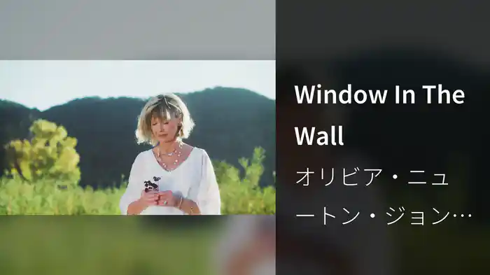 Window In The Wall