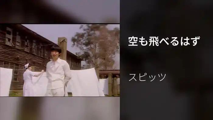 空も飛べるはず