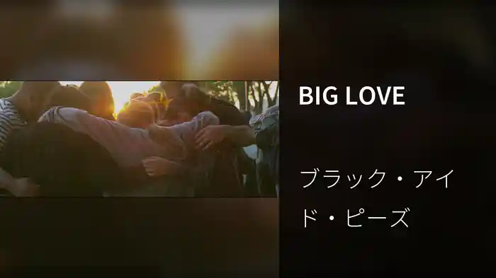 BIG LOVE