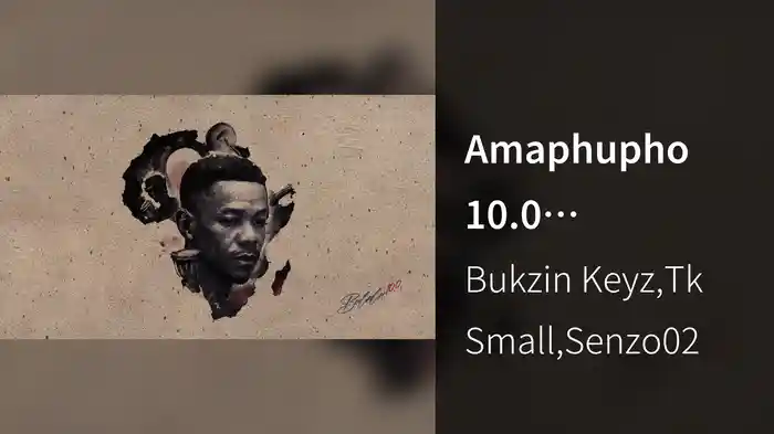 Amaphupho 10.0 (Visualizer)