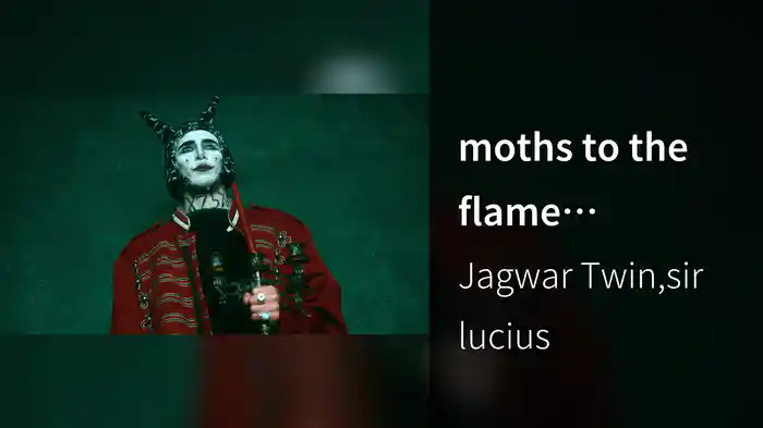 moths to the flame (Visualizer)