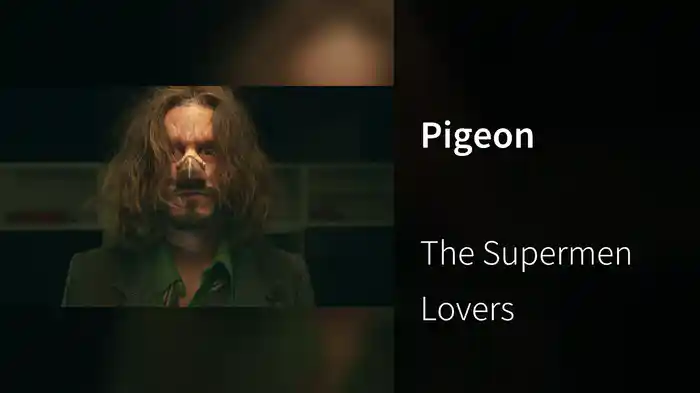 Pigeon