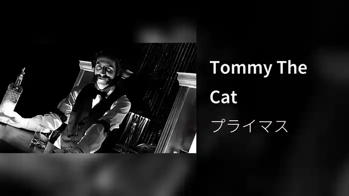 Tommy The Cat