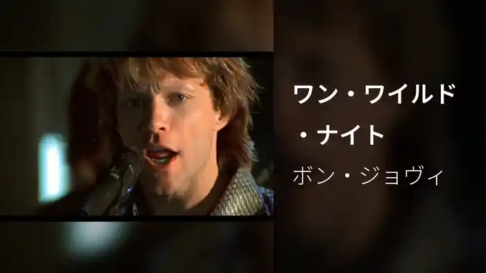 ワン・ワイルド・ナイト