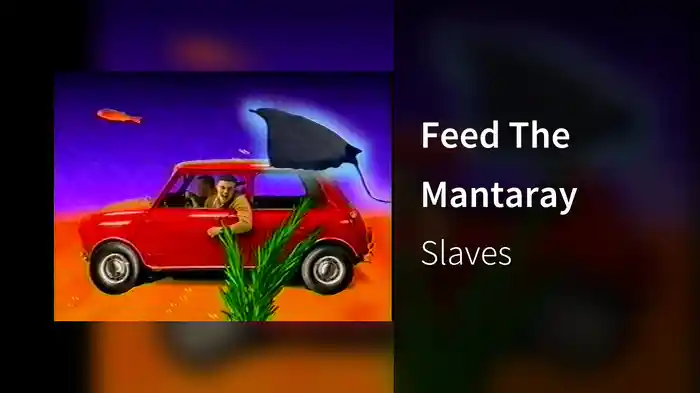 Feed The Mantaray