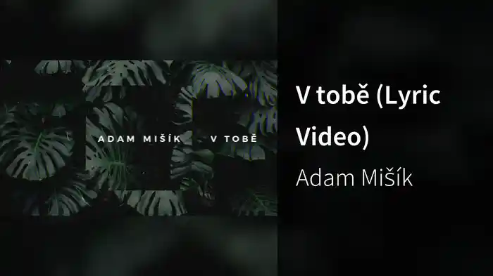 V tobě (Lyric Video)
