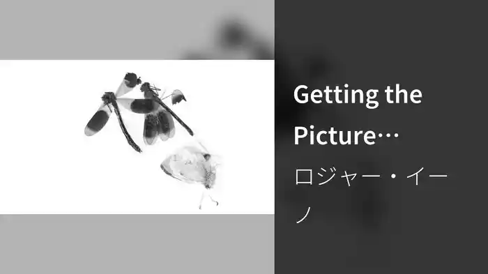 Getting the Picture (Visualizer)