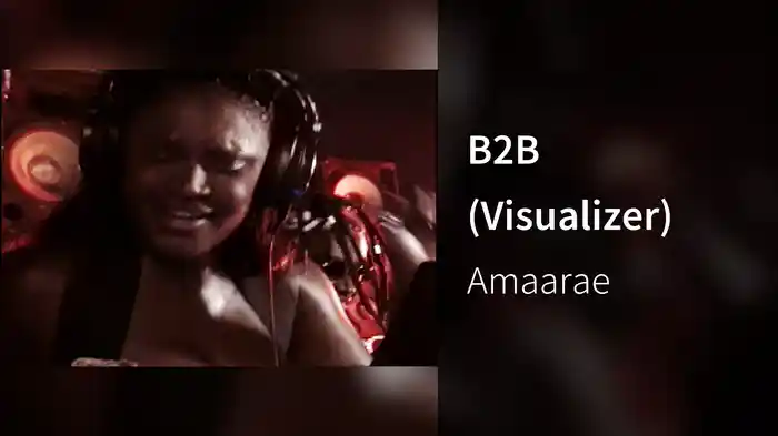 B2B (Visualizer)