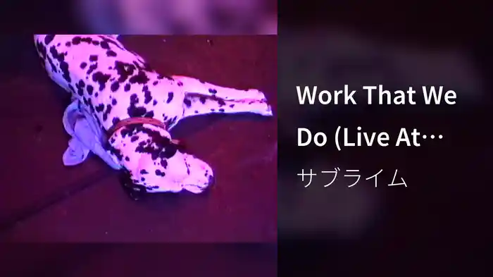 Work That We Do (Live At The Palace, 1995)